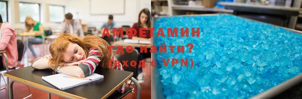 ПСИЛОЦИБИНОВЫЕ ГРИБЫ Арсеньев