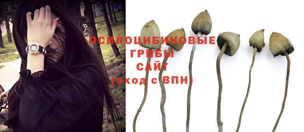 ПСИЛОЦИБИНОВЫЕ ГРИБЫ Арсеньев