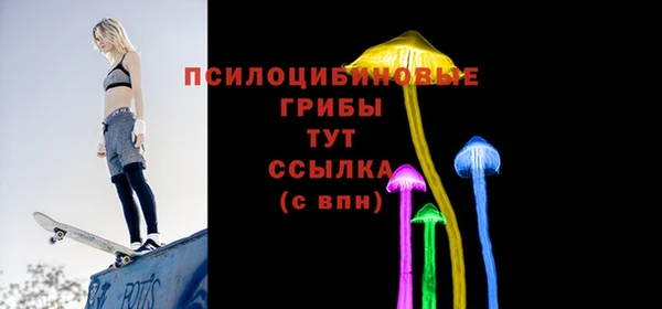 ПСИЛОЦИБИНОВЫЕ ГРИБЫ Арсеньев