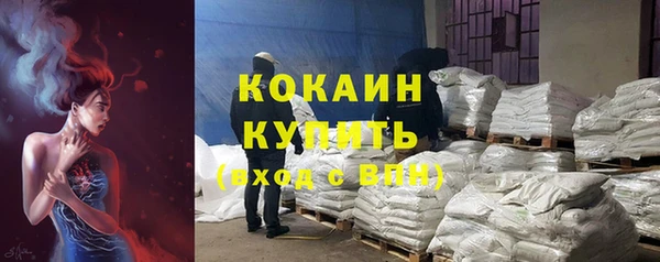 ПСИЛОЦИБИНОВЫЕ ГРИБЫ Арсеньев