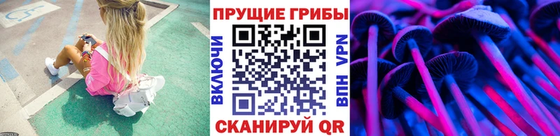Псилоцибиновые грибы Cubensis  Приморско-Ахтарск 
