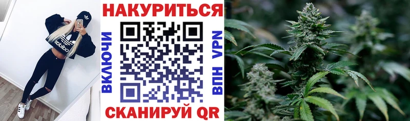Бошки Шишки планчик  где можно купить наркотик  Приморско-Ахтарск 
